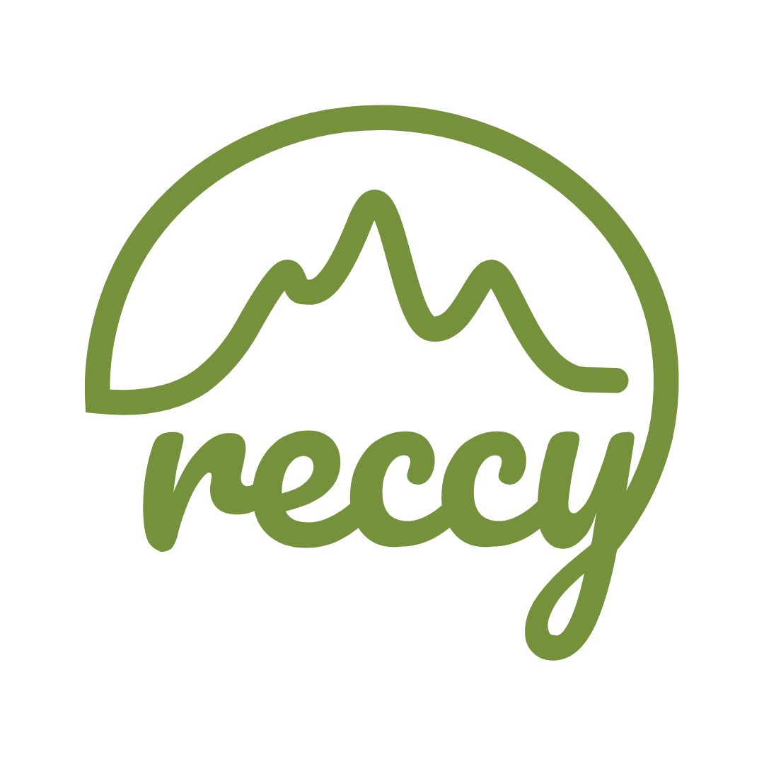 reccy travel logo